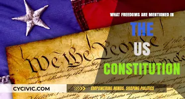 US Constitution: Freedoms and Rights Explored