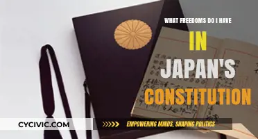 Japan's Constitution: Our Fundamental Freedoms and Rights