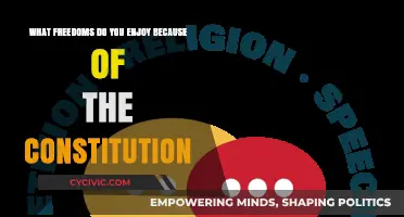 The Constitution: Our Freedom's Foundation