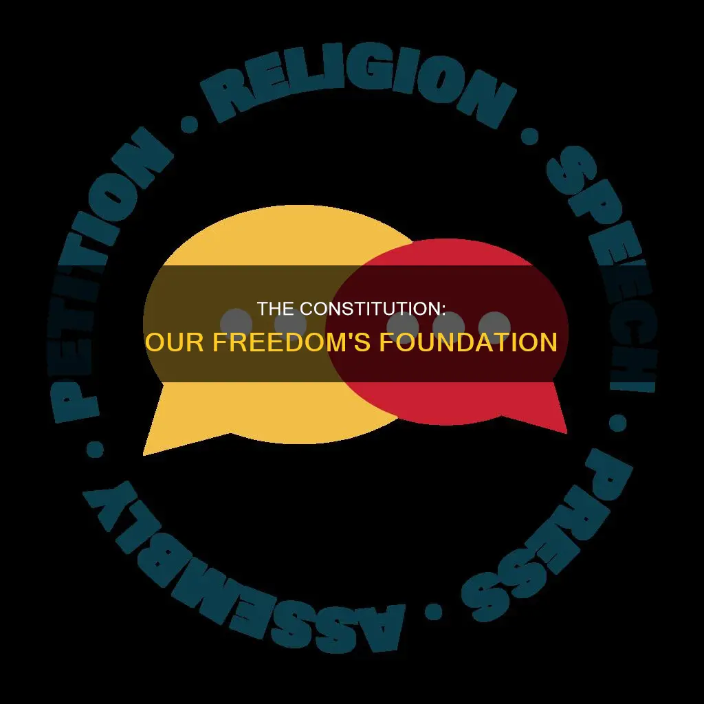 what freedoms do you enjoy because of the constitution