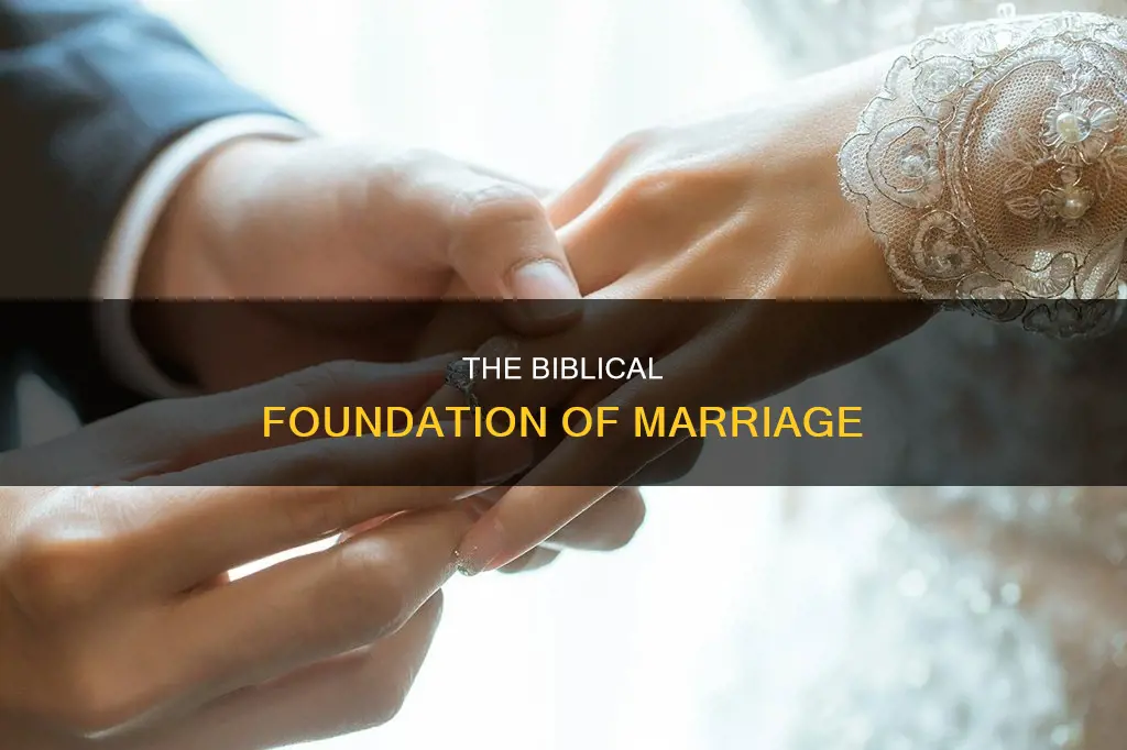 what from the beginning constitutes marriage in the bible