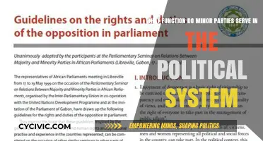 Minor Parties' Role: Shaping Political Discourse and Democracy's Diversity