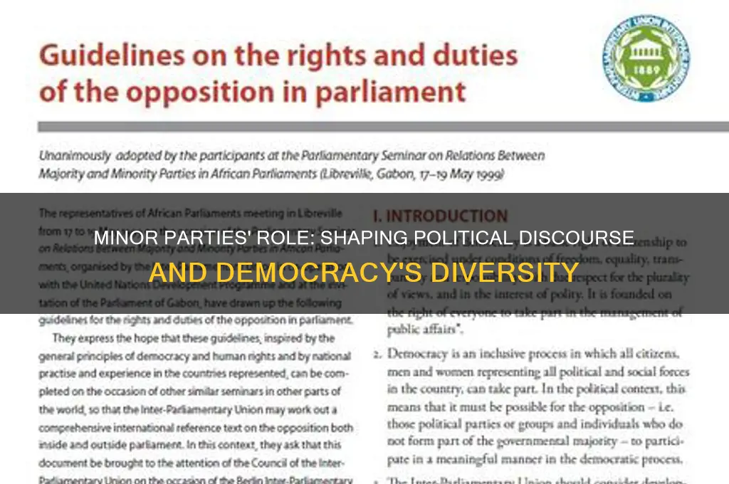 what function do minor parties serve in the political system