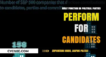 How Political Parties Empower Candidates: Key Functions and Benefits