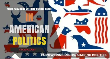 Third Parties in American Politics: Roles, Influence, and Impact Explained