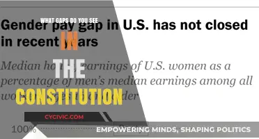 The Constitution: What Gaps Need Filling?