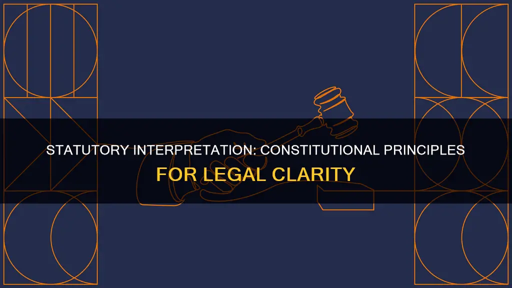 what general constitutional principle speaks to the ambiguity of statutes