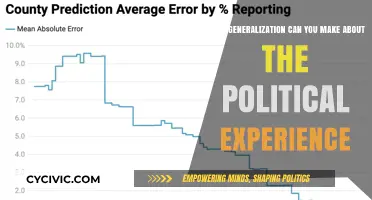 Exploring Political Experience: Insights and Generalizations