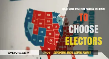The Power of Political Parties: Who Chooses Electors and Why?