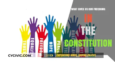 The Constitution: Our Freedom's Foundation