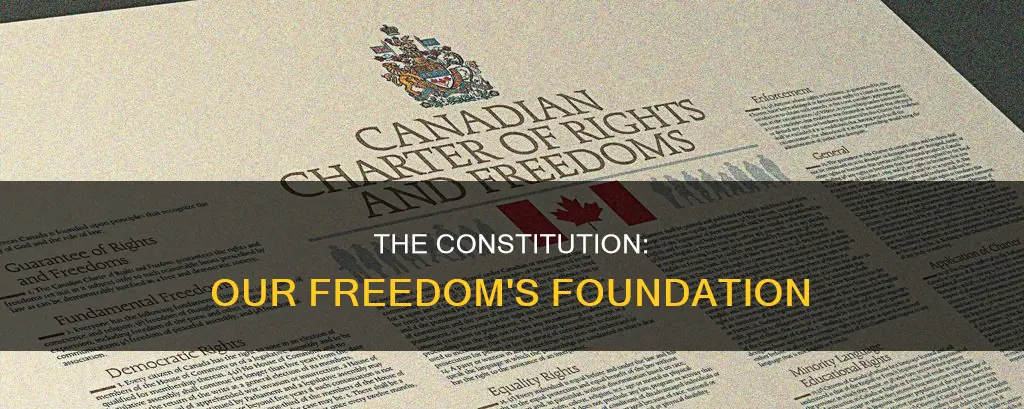 what gives us our freedoms in the constitution