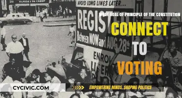 Constitutional Principles: Voting Rights and Freedoms