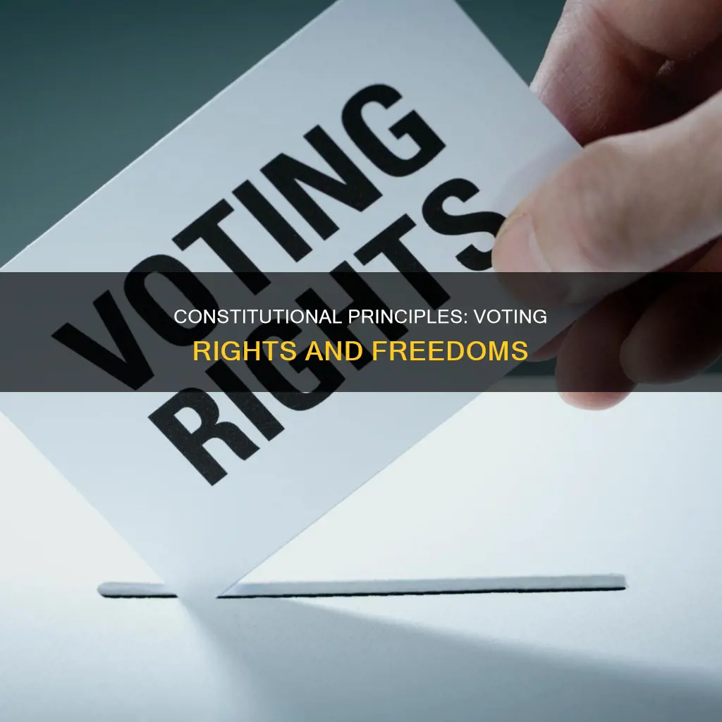 what goal of principle of the constitution connect to voting