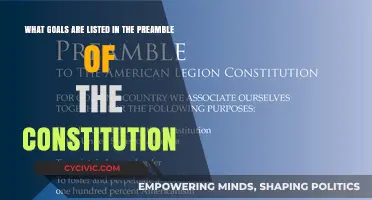 Goals of the Constitution: Preamble Principles