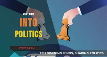 Understanding the Complex World of Politics: Power, Policies, and People