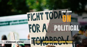 Unraveling the Chaos: What's Really Going On in Politics Today