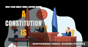 Why Constitutions are Vital for Nations