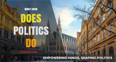 Politics: Shaping Societies, Solving Problems, and Building a Better Future