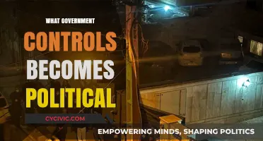 Government Control and Its Inevitable Descent into Political Turmoil