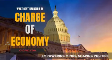 Who Controls the Economy? Understanding Government's Role