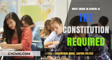 Understanding the Constitution: Grade Level Requirements