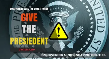 Presidential Powers: Exploring Constitutional Grants