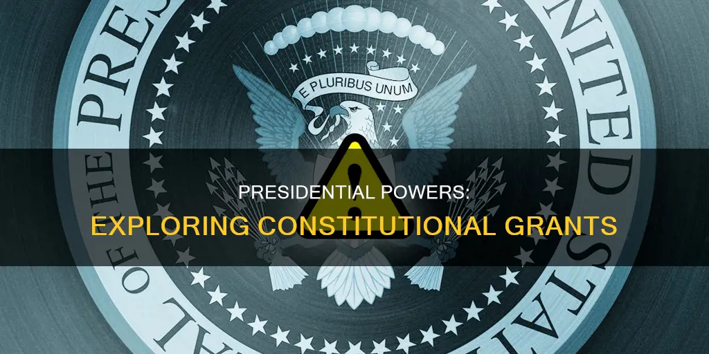 what grant does the constitution give the presiedent