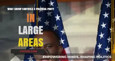 Who Holds the Reins? Understanding Political Party Control in Large Regions