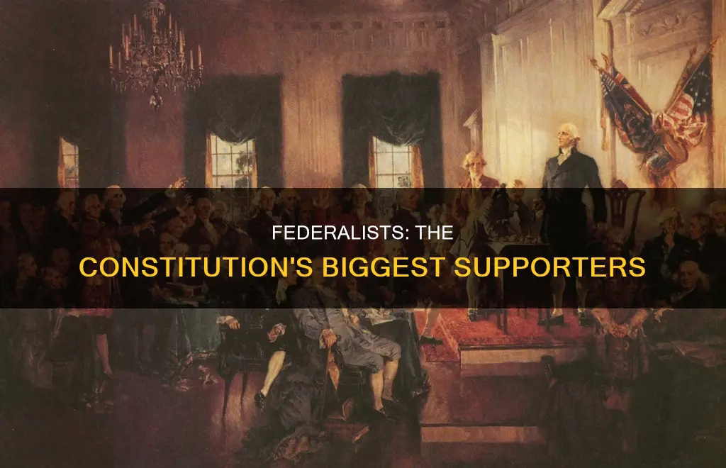 what group favored ratification of the us constitution