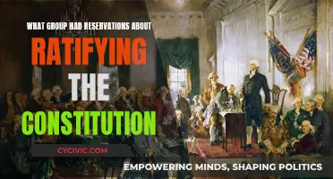 Anti-Federalists: Constitution Ratification Reservations