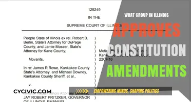 Who Approves Constitutional Amendments in Illinois?