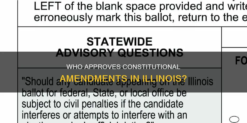 what group in illinois approves constitutional amendments