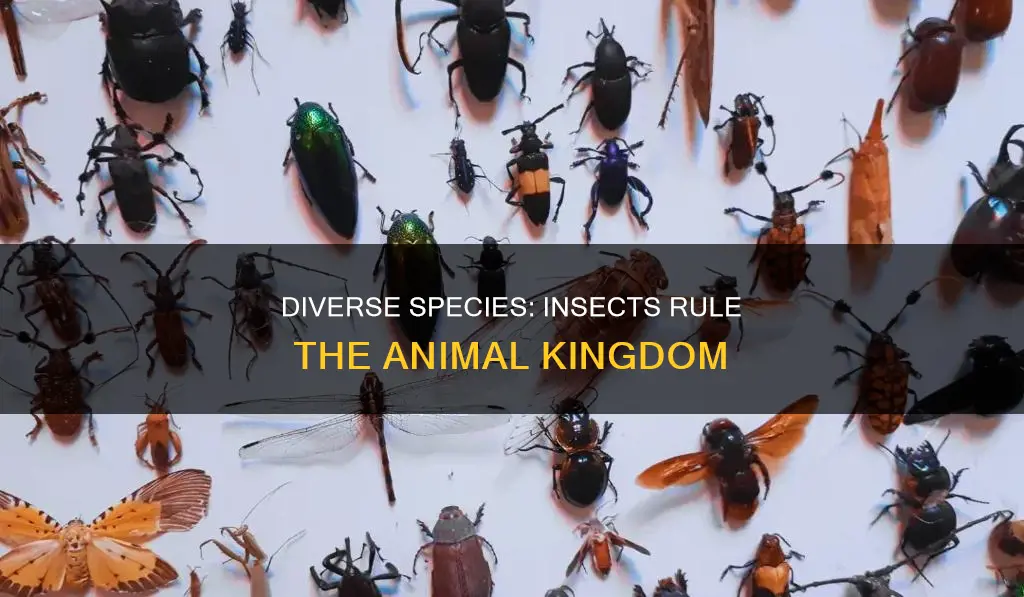 what group of animals constitutes the largest number of species