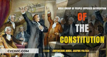 Opposition to Constitution Ratification: Who and Why?