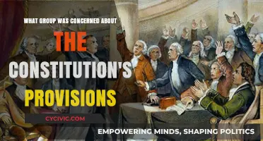 Anti-Federalists: Constitution Concerns and the Bill of Rights