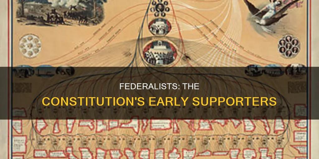 what group was in favor of the constitution