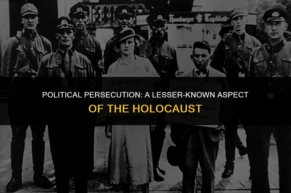 what group was persecuted during the holocaust for political views