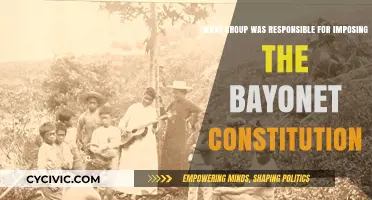 Who Imposed the Bayonet Constitution?