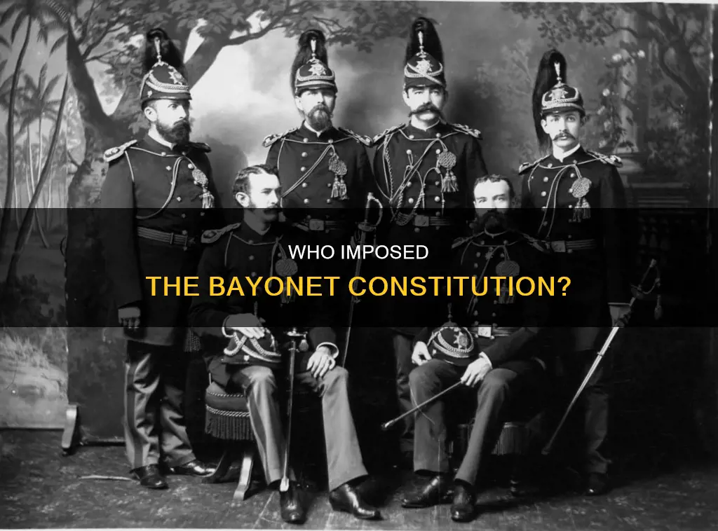 what group was responsible for imposing the bayonet constitution