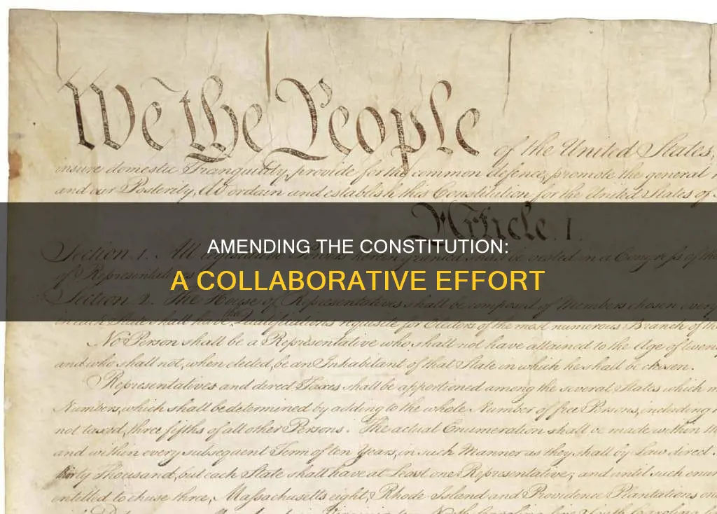 what groups amended the constitution