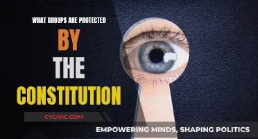 Constitution Safeguards: Protected Groups and Their Rights