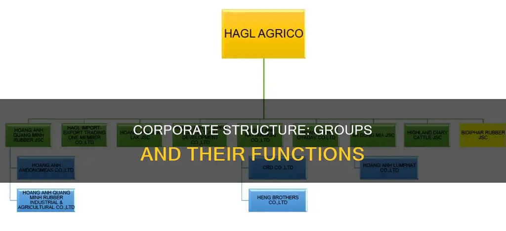 what groups constitute the organizatin of most corporations