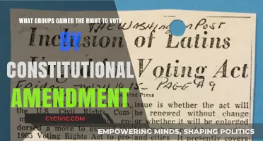 Who Gained Voting Rights via Constitutional Amendments?
