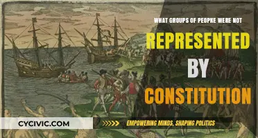 Unrepresented in the Constitution: Who Was Left Out?