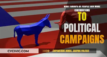 Who Can Donate to Political Campaigns?