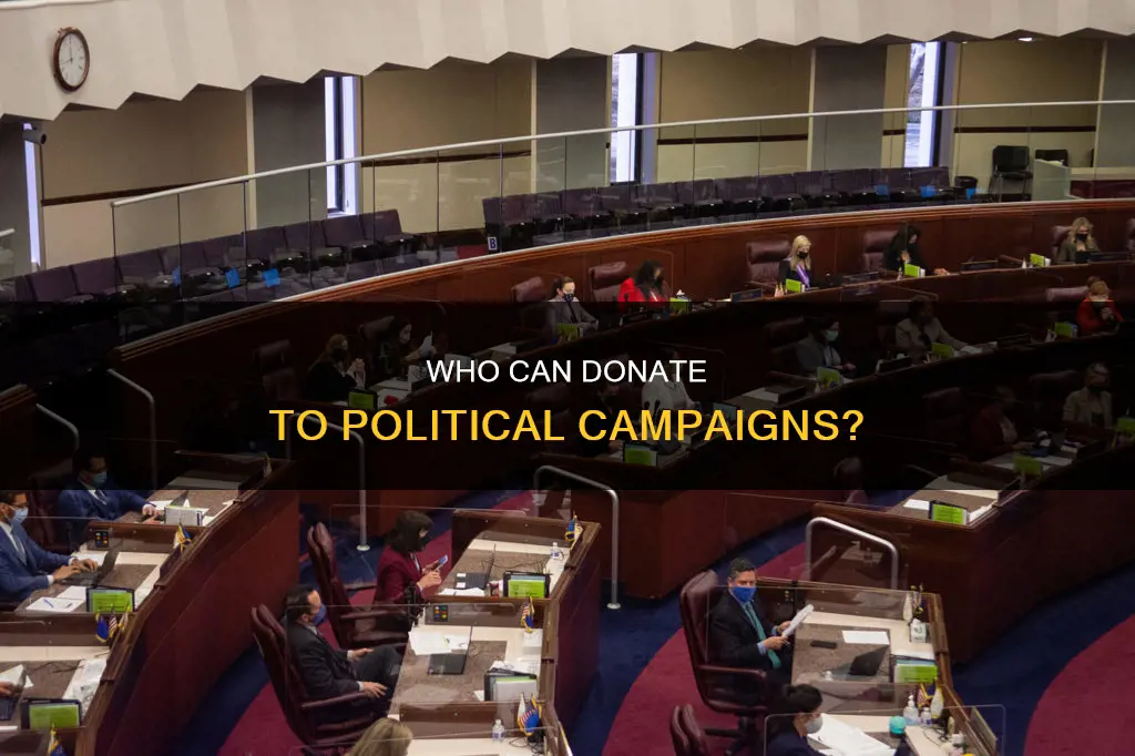 what groups of people can make contributions to political campaigns