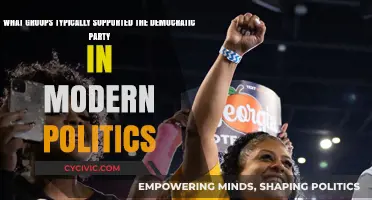 Modern Democratic Party Allies: Key Groups Shaping Political Support