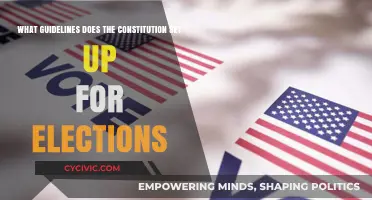 Constitution's Election Guidelines: Democracy's Foundation