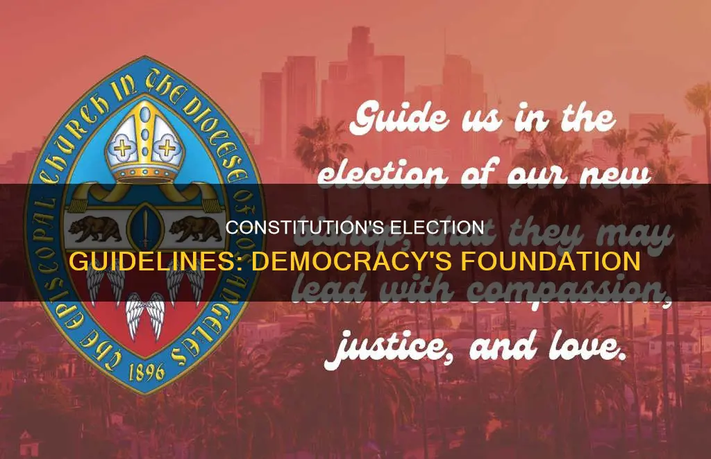 what guidelines does the constitution set up for elections