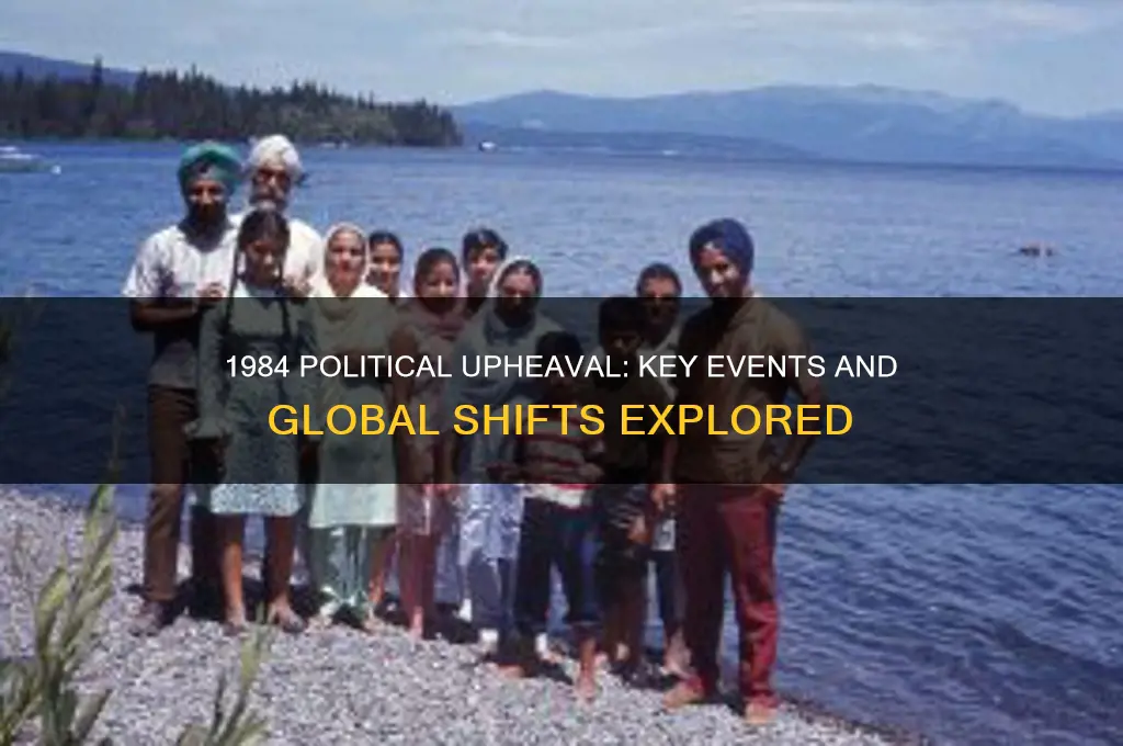 what happened in 1984 politics